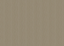 Коричневые обои в полоску Zambaiti Architexture 2 Z57710