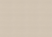 Обои шириной 53 см и длиной 10,05 метров Rasch Allegretto 692716